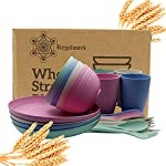 RegalMark Wheat Straw Plates Set - Reusable Dinner Plates, Recyclable Dinnerware, 24pieces
