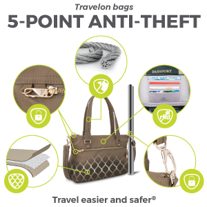 5-Point Anti-Theft Diagram