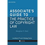 Associate&#39;s Guide to the Practice of Copyright Law 2022 Edition