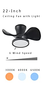 ocioc 22 inch small ceiling fan with LED light black