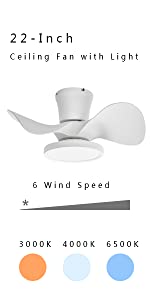 ocioc 22 inch small ceiling fan with LED light white