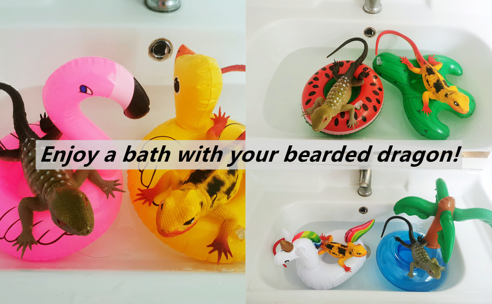 Enjoy a bath with your bearded dragon!