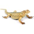 Rich Boxer Lizard Figurine Realistic Plastic Lizard Reptile Figurine for Collection Science Educational Prop