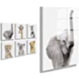 Kate and Laurel Safari Animal Collection Floating Acrylic Art Set by Amy Peterson Studio, Set of 6, 10x10 Assorted, No-Tools Hanging Wall Decor
