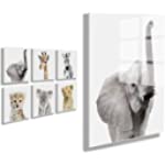 Kate and Laurel Safari Animal Collection Floating Acrylic Art Set by Amy Peterson Studio, Set of 6, 10x10 Assorted, No-Tools Hanging Wall Decor