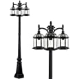 PARTPHONER 3-Head Outdoor Lamp Post Light Birdcage, Waterproof Outside Black Street Light Pole with Clear Glass Shade for Yard, Garden, Patio, Path, Driveway