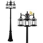 Dusk to Dawn Outdoor Lamp Post Light Birdcage, 3-Head Waterproof Light Post with Sensor, Outside Black Street Light Pole with Clear Glass Shade for Yard Garden Patio Path Driveway (Bulb Included)