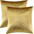 GIGIZAZA Gold Velvet Decorative Throw Pillow Covers,18x18 Pillow Covers for Couch Sofa Bed 2 Pack Soft Cushion Covers
