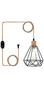 Pendant Light with Dimmable Switch