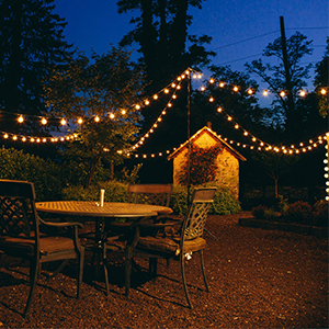 Outdoor String Lights for Backyard