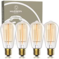 Edison Bulbs 60 Watts - 2100K Vintage Incandescent Bulb - E26/E27 Base Clear Glass 60W - Dimmable Squirrel Filament Bulbs 230