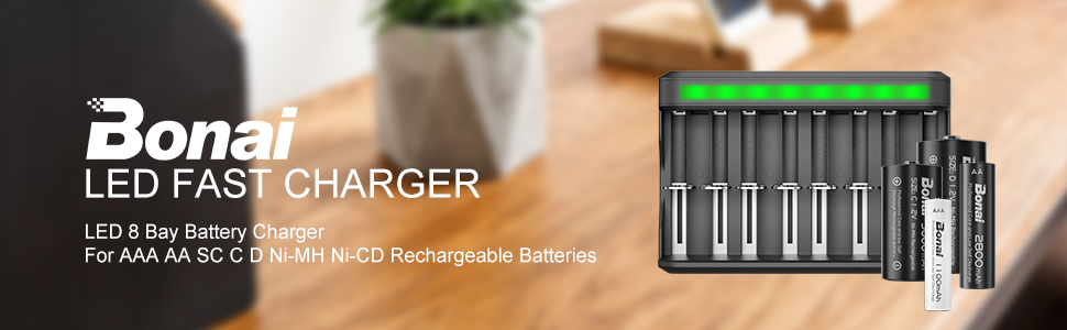 AA AAA C D BATTERY CHARGER