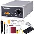 WooEver Professional Wood Burning Kit, Adjustable Temperature Control Wood Burning Tools with 20 Wire Tips Pyrography Machine for Wood Leather and Gourd - White