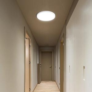 LED Flush Mount Ceiling Light