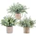 Der Rose Mini Potted Fake Plants Artificial Small Eucalyptus Plants for Home Office Desk Farmhouse Decor