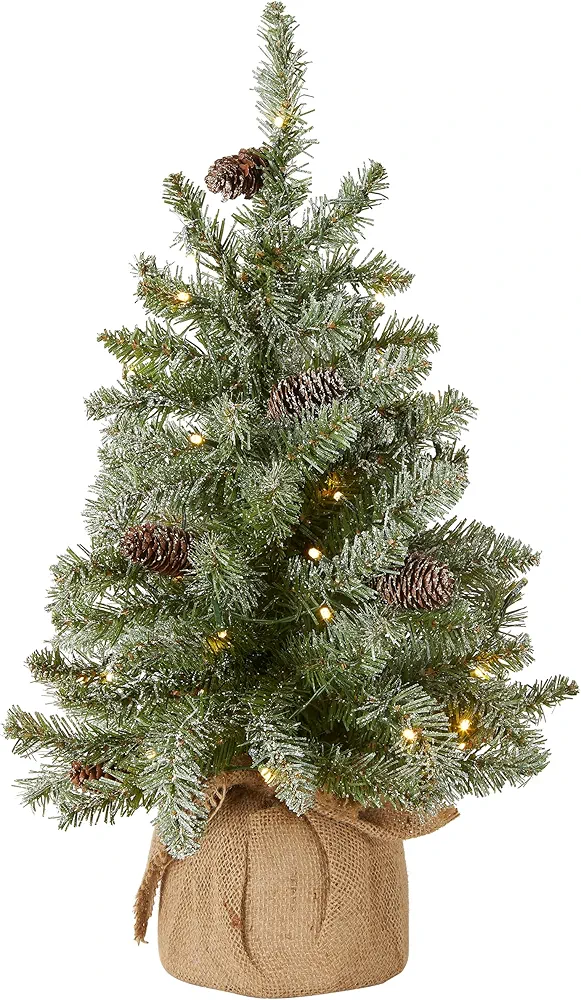 National Tree Company Pre-lit Artificial Mini Christmas Tree | Includes Small White LED Lights, and Cloth Bag Base | Snowy Concolor Fir - 2 ft