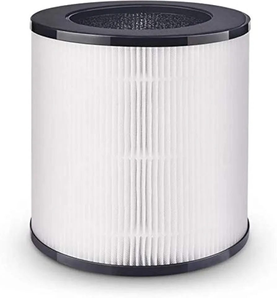 Air Purifier for Large Rooms (C8 filter)