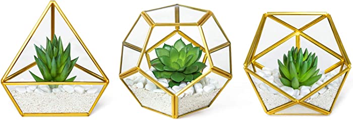 Mkono Artificial Succulent in 3 Pack Mini Glass Geometric Terrarium, Miniature Potted Faux Plant Bookshelf Desk Boho Office Room Decor for Women Girls Dorm Gift Idea, Gold