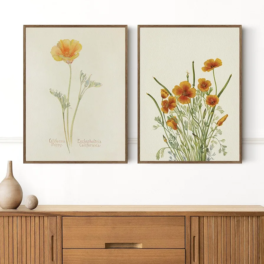 Botanical Wall Art Set of 2 Vintage Flower Wall Decor Watercolor Poppy Canvas Wall Art for Living Room Floral Pictures for Bedroom Wildflower Decor California Poppy Art Prints 16x24 Inch Unframed