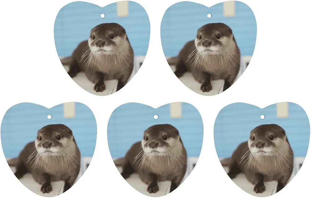 5 Pcs Car Air Fresheners Hanging Air Freshener Cute Otter Hanging Scented Cards Fragrance Scented Cards for Car Car Aromatherapy Tablets for Car