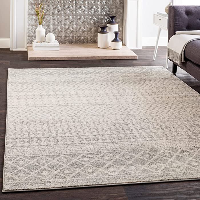 Chester Boho Moroccan Area Rug