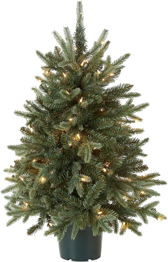 National Tree Company Artificial Christmas Tree For Entrances | Includes White Lights and Pot | Everyday Collections - 3 ft