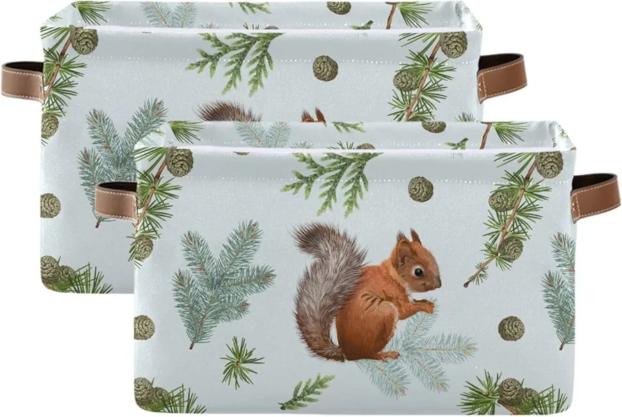 Squirrel Storage Basket Bins Decorative Toy Laundry Basket Organization with Handles for Office Bedroom Clothes Bedroom Living Room,2 pcs