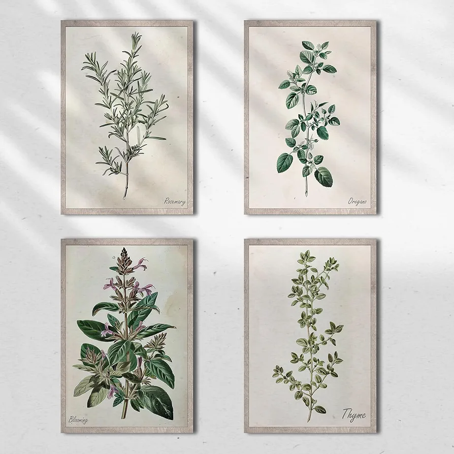 TracyArt Kitchen Wall Decor Herb Posters 13" x 17" Pack 4 - Vintage Botanical Wall Art for Kitchen, Dining Room - Farmhouse Room Decor Aesthetic