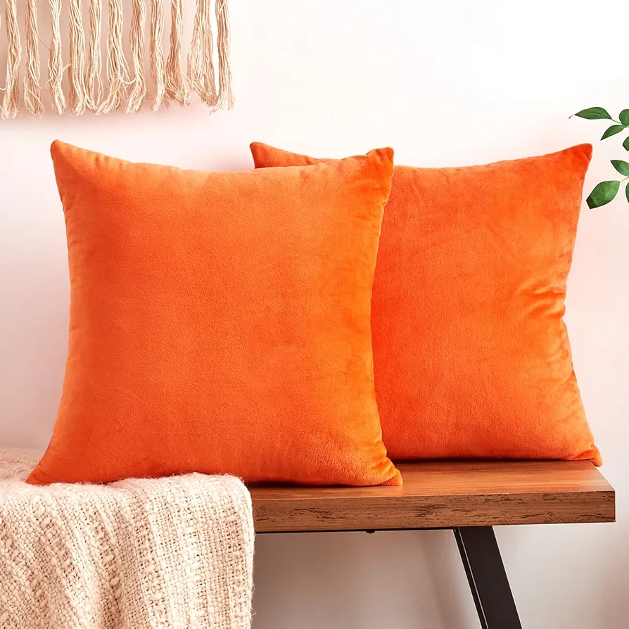 Fall Orange Throw Pillow Covers Decorative Velvet Set of 2 18x18 Inch Pillow Covers, Soft Burnt Orange Pillowcases for Couch Sofa Bed Living Room, Farmhouse Boho Decor, Accent Cushion Covers