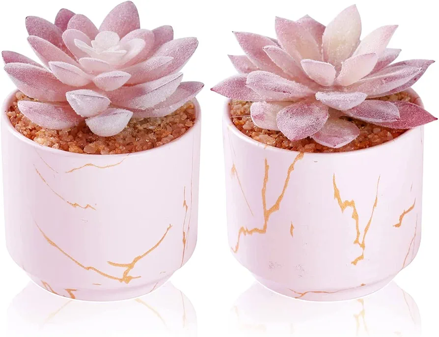 Succulent Artificial Plants,Cute Fake Succulents in 2 Pink Ceramic Pots,Small Fake Plants for Office,Table,Desk,Bathroom, Bedroom,Aesthetic Room Shelves Decor,Desk Decorations for Women Office