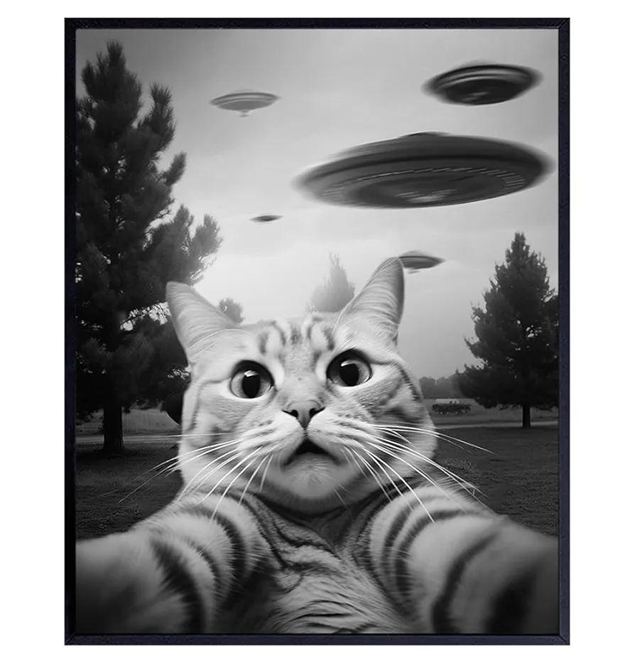 funny Cat Wall Art & Decor - Cat Themed Wall Decor - funny Wall Art for Teen Boy, Boys Bedroom Decor -Cat Pictures - Cat Gifts for Men - Cat Themed College Dorm Room Decor Poster - UFO Wall Decor