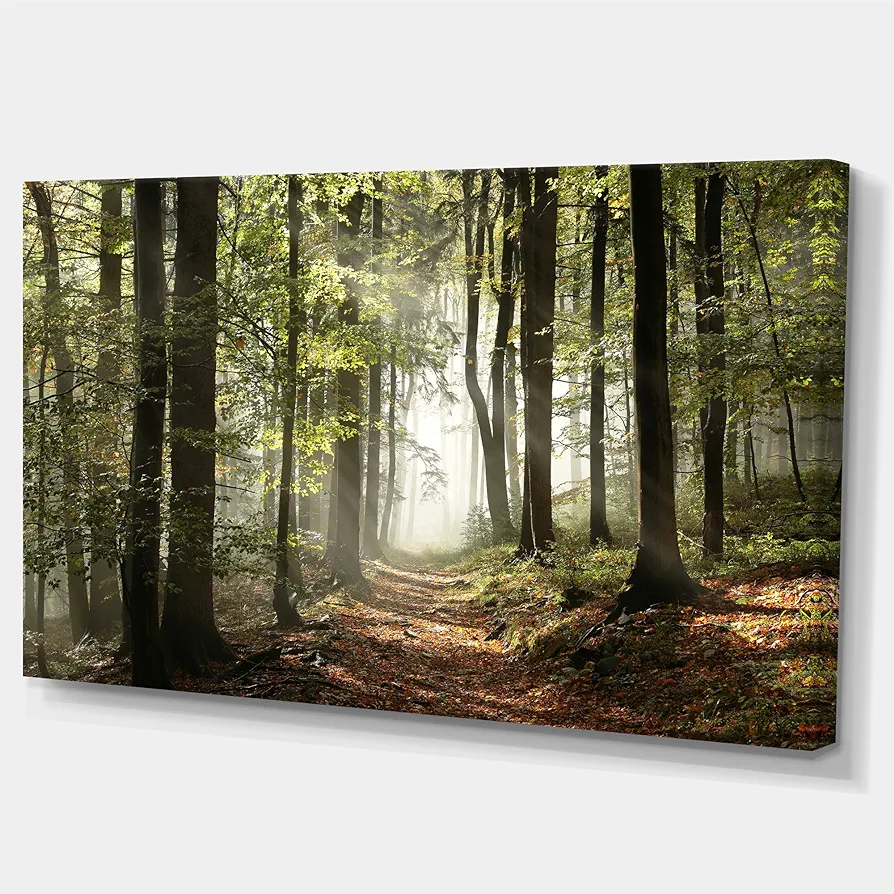 DesignArt Canvas Art Wall Decor 'Green Fall Forest with Sun Rays' - Wall Art For Living Room, Wall Art Bedroom, Dining Room Wall Decor, Wall Art- Made Of Wood & Cotton Material- Large Size - Size 32" x 16"