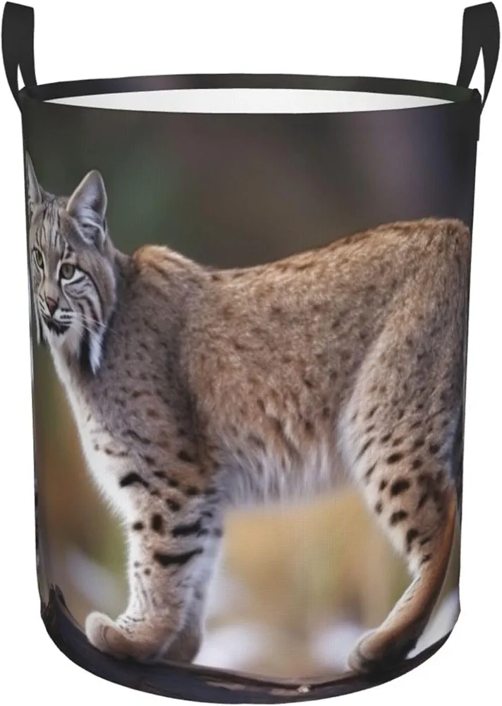 Wild bobcat Print Laundry Basket Circular Laundry Hamper with Handles Waterproof Circular Hamper Dirty Clothes Basket Portable Storage Bin for Home Organizer Living Room Bathroom Car Small