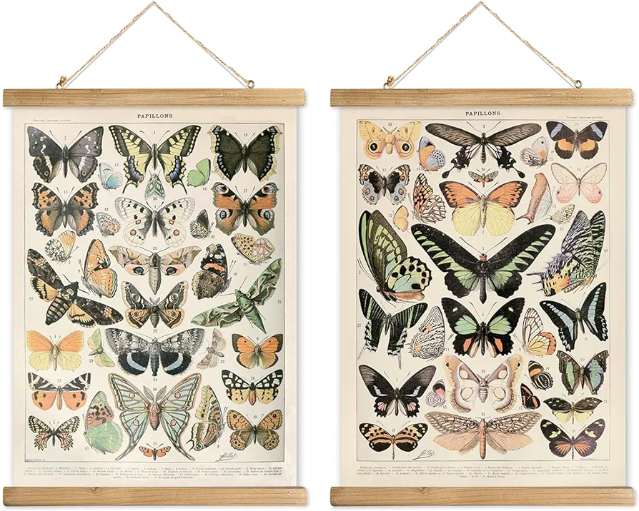 XIAOAIKA 2 Pack Vintage Butterfly Poster - Cottagecore Room Decor Aesthetic - Classic Lepidoptera Wall Art with Wooden Frame - Educational Decor for Nature Enthusiasts and Collectors 16 x 23 inches