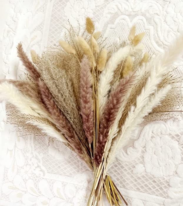 Natural Dried Pampas Grass, 60Pcs Pampas Grass Decor, Pompous Reed Grass Plants Boho Decor Wedding Decorations Boho Pampas Grass Flower Arrangements Home Decor