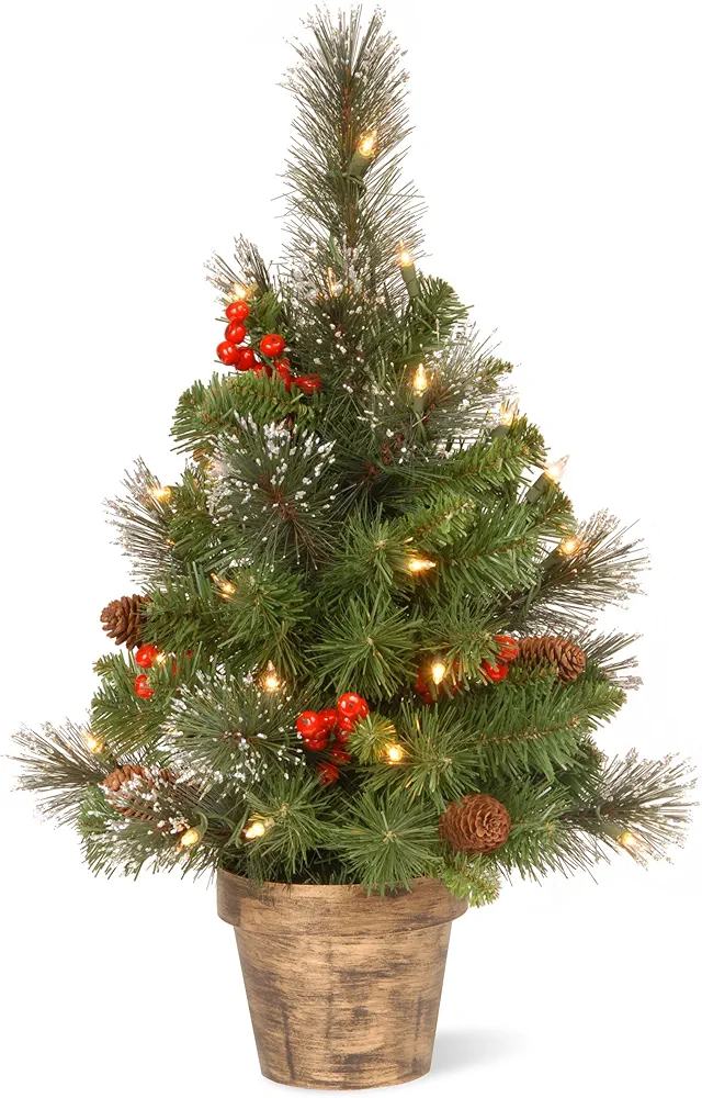 National Tree Company Pre-Lit Artificial Mini Christmas Tree, Green, Crestwood Spruce, White Lights, Decorated with Pine Cones, Berry Clusters, Frosted Branches, Includes Pot Base, 2 Feet