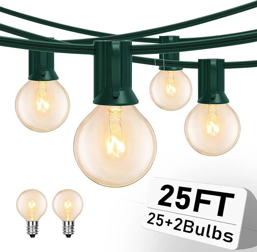 25FT Outdoor String Lights with 27 Clear Bulbs, G40 Globe Patio String Lights for Indoor/Outdoor, Connectable Hanging Lights for Backyard Porch Balcony Party Decor - Green Wire