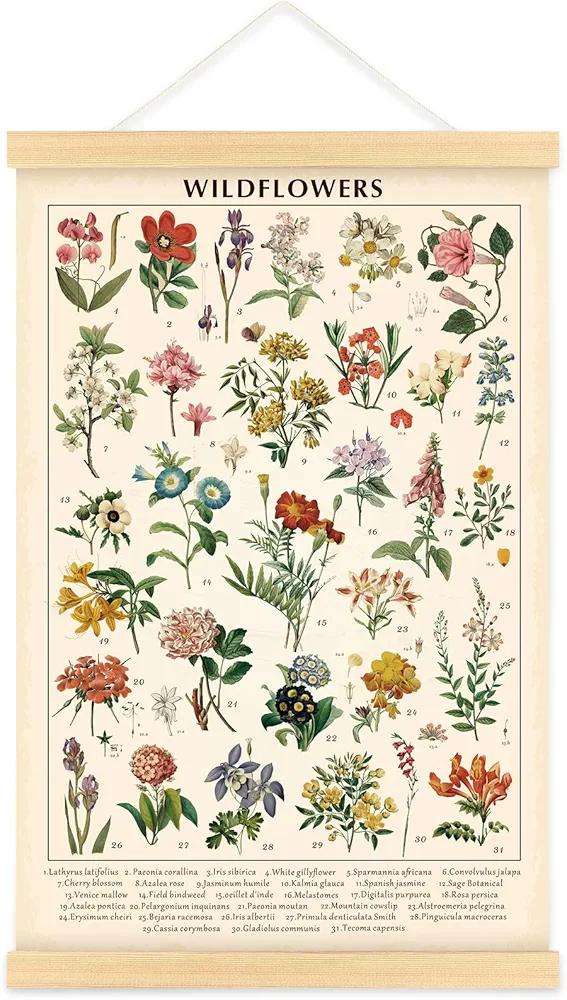 Vintage Wildflowers Poster Botanical Wall Art Prints Colorful Rustic Style of Floral Wall Hanging Illustrative Reference Flower Chart Poster for Living Room Office Bedroom Decor Frame 15.7 x 23.6 Inch