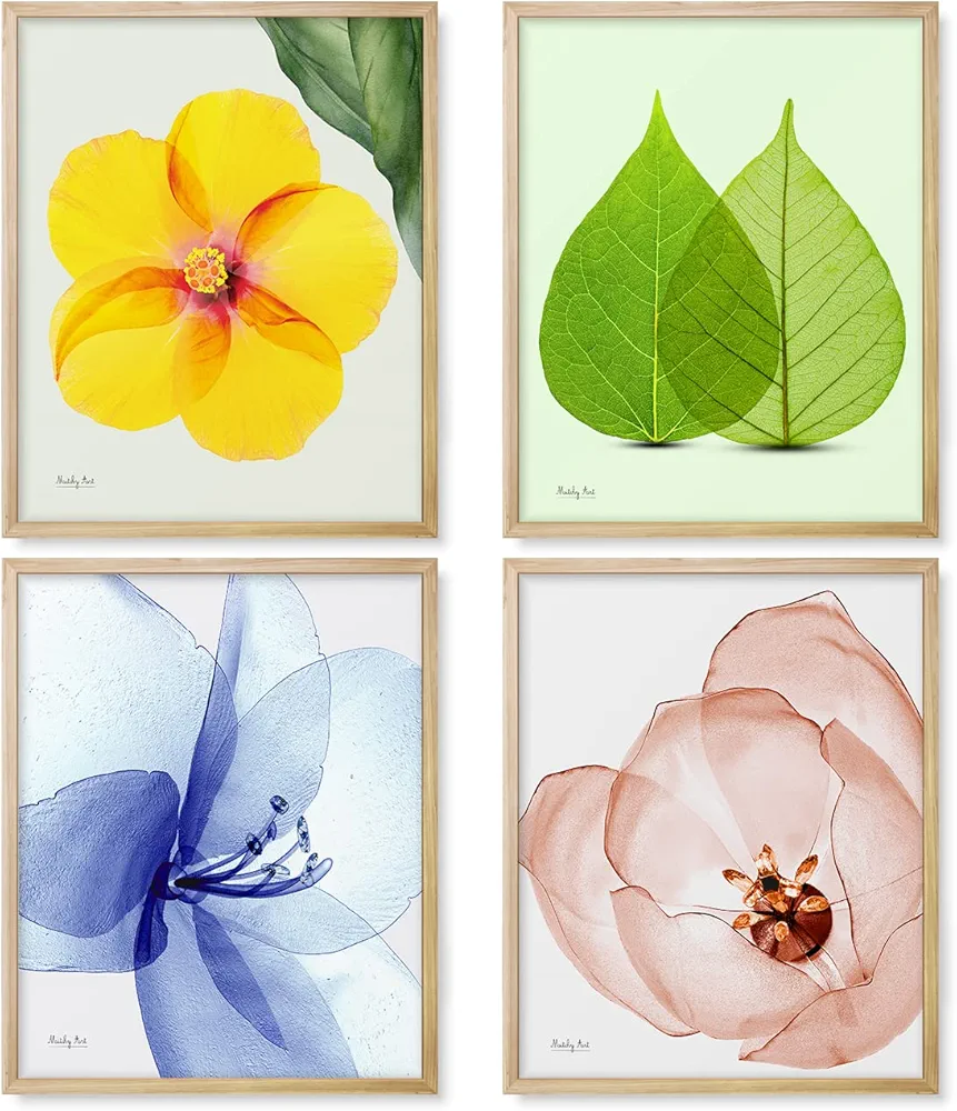 Colorful Flowers Wall Decor,Hibiscus - Set of 4 Abstract Flowers Prints Wall Art Modern Pictures Artwork for Living Room Bedroom and Home Decorations (8x10 - UNFRAMED)