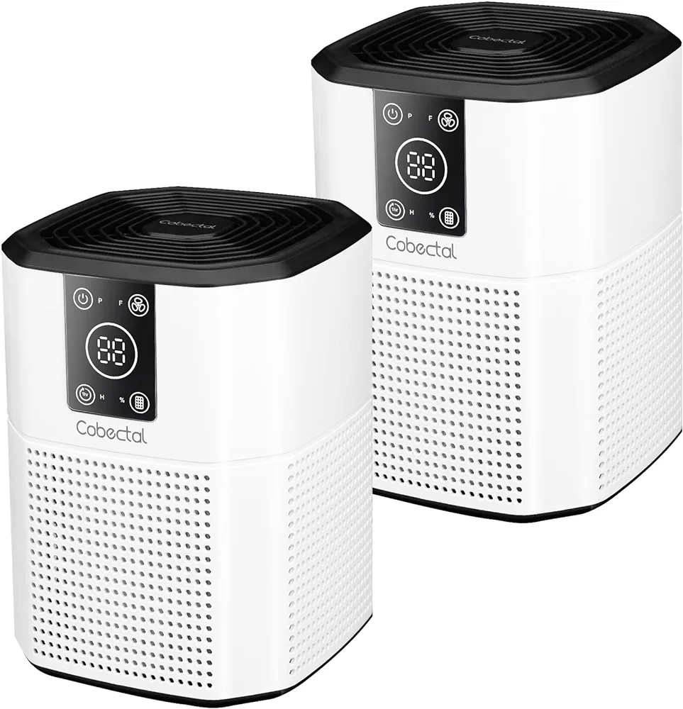 Air Purifiers for Home Bedroom, Air Purifier with True H13 HEPA Filter, Portable Air Purifier with 9 Timers, Small Desktop Air Cleaner for Home,Office,Living Room, 2 pack