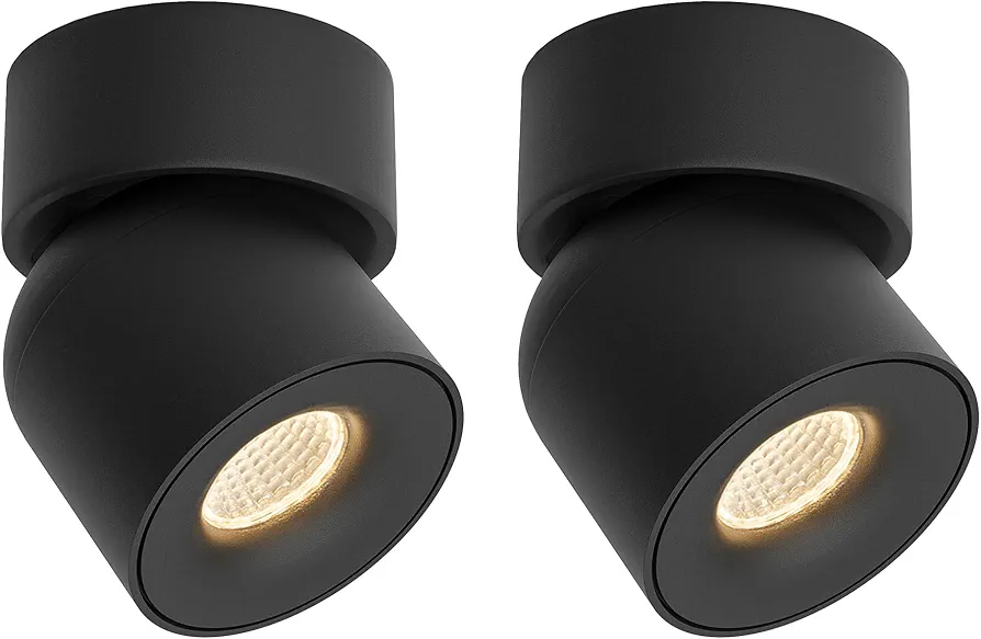 Aisilan 2Pack LED Indoor Black Ceiling Spot Lights 9W Surface Mounted Light Fixture with 360° Pivoting Spotlight, Dimmable Warm White 3000K CRI 97+ for Living Room