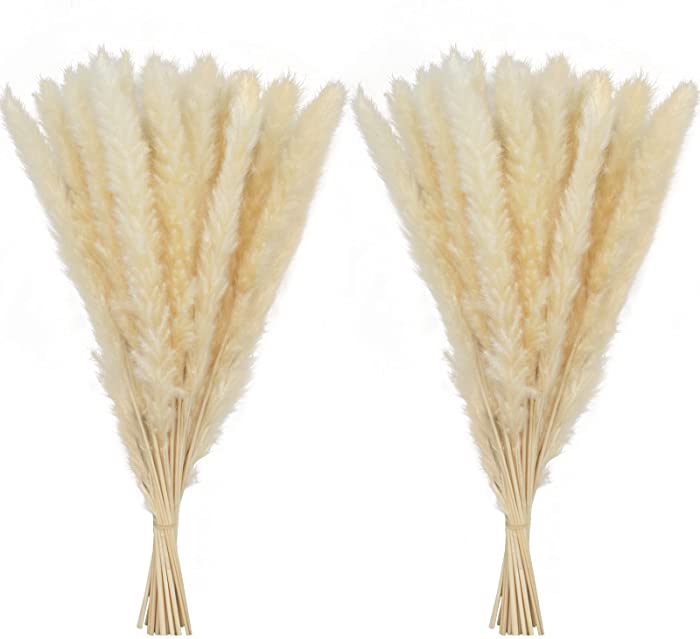 60 Pcs Dried Pampas Grass 18” ,Pompous Grass Pompass Branches for Vase Filler Flower Arrangement Wedding Boho Home Decor (Beige)