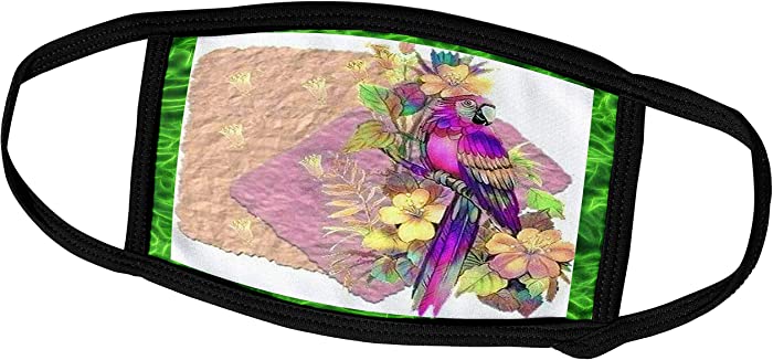 3dRose Amazon Parrot with Beautiful Colors and Paper Accent Art - Face Covers (fc_184683_1)