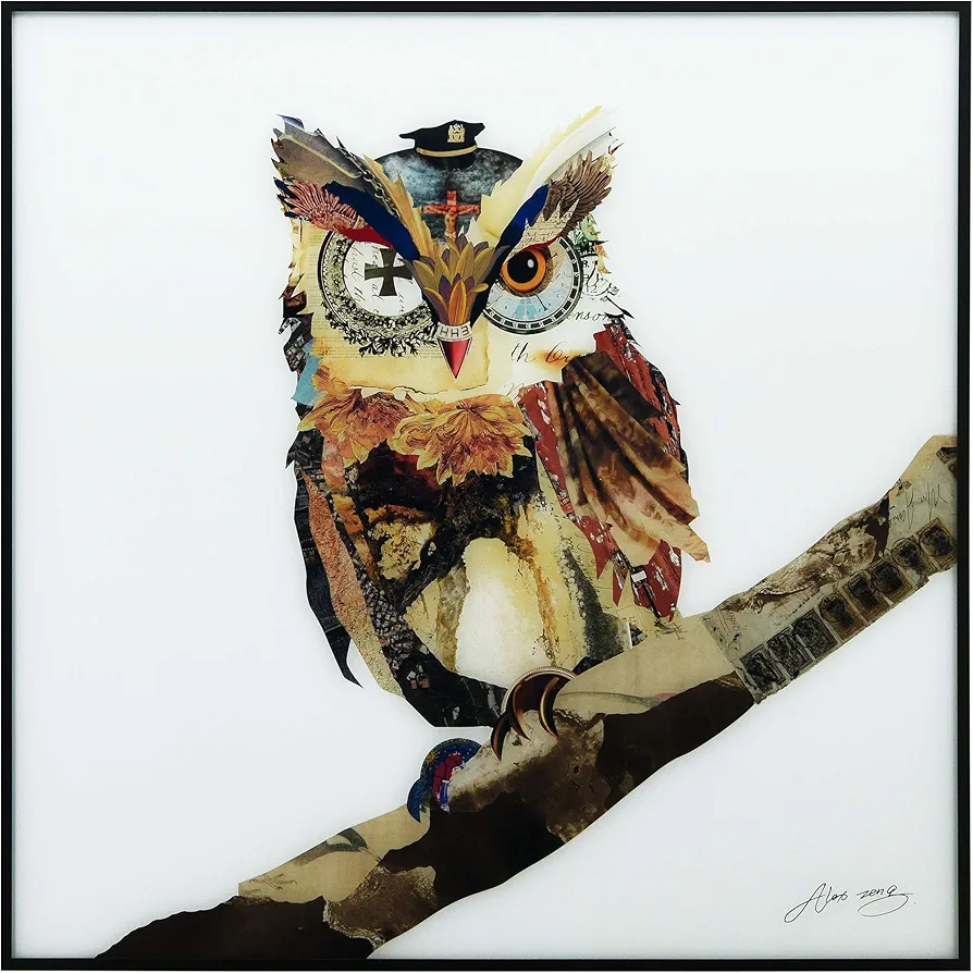 Empire Art Direct Wall Art,Reverse Printed Glass and Anodized Aluminum Black Frame, Contemporary,Ready to Hang,Living Room,Bedroom ＆ Office, 24 in. x 1 in. x 24in, The Wisest Owl