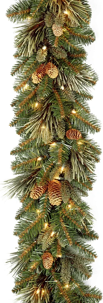 National Tree Company Pre-Lit Artificial Christmas Garland, Green, Carolina Pine, White Lights, Decorated with Pine Cones, Plug In, Christmas Collection, 9 Feet